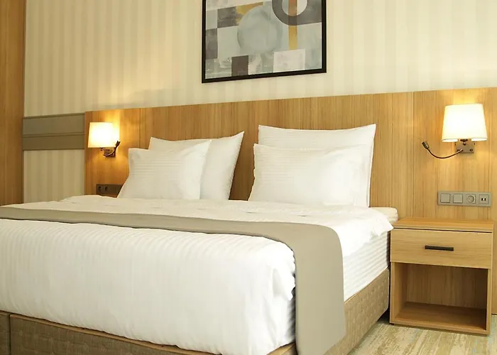 Tress Hotel Provincia di Istanbul